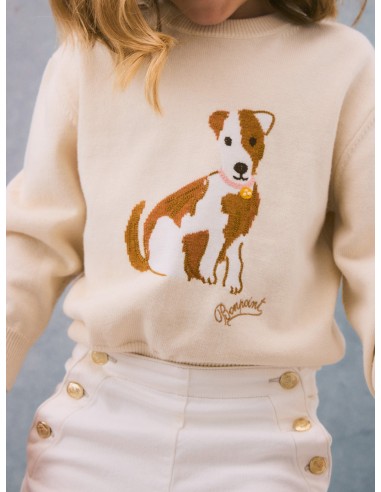 Pull Anumati à motif chien l'évolution des habitudes 