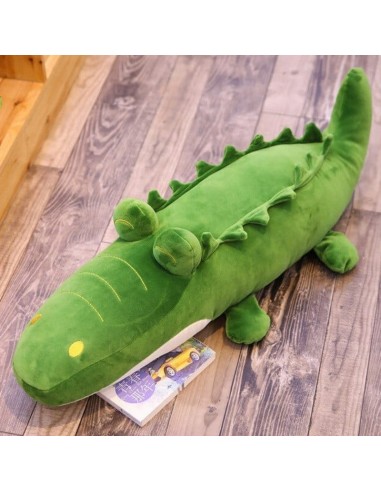 Crocodile Vert Everglade En savoir plus