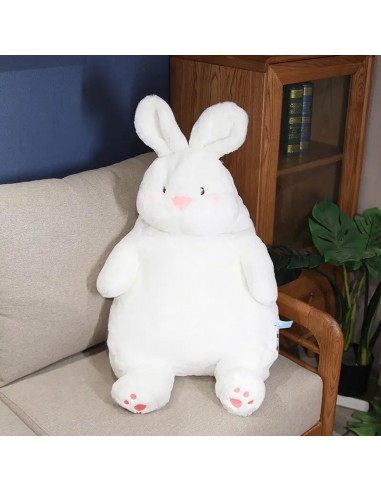 Lapin Robin câlin Toutes les collections ici